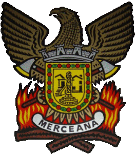 Assembleia Geral Ordinária